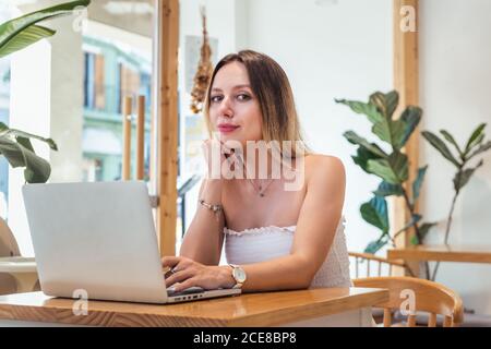 Selbstbewusste junge Freiberuflerin im Sommer Outfit arbeiten auf Laptop Und beim Blick auf die Kamera, während Sie in einem modernen Café sitzen Stockfoto