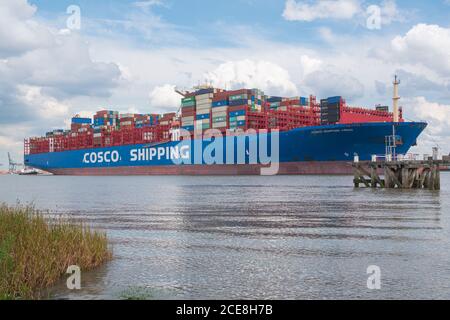 Doel, Belgien, 17. August 2020, COSCO Shipping ist evan Containerschiffe mit Sitz in Shanghai, voll mit Containern beladen Stockfoto