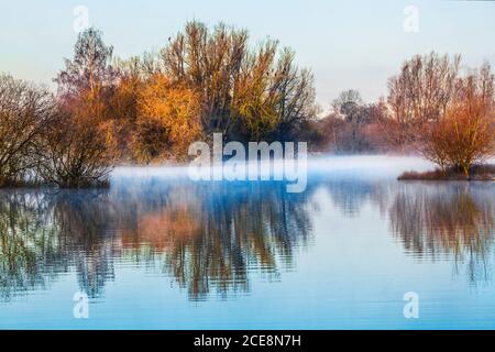 Ein frostiger Wintermorgen auf einem der Seen im Cotswold Water Park. Stockfoto