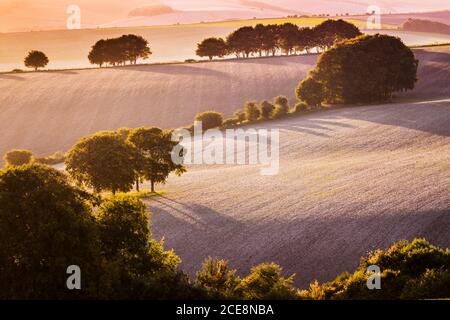 Sonnenuntergang über der Nord Wessex Downs in Wiltshire. Stockfoto