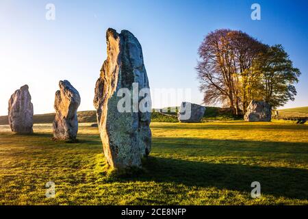 Sarsensteine bei Sonnenaufgang in Avebury in Wiltshire. Stockfoto