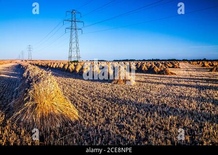 Traditionelle Stooks stehen auf einem Feld in Wiltshire modernen Strommasten gegenüber. Stockfoto