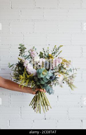 Crop anonyme weiblich hält schöne blühende Bouquet von verschiedenen frischen Blumen und dekorative Pflanzen gegen weiße Ziegelwand Stockfoto