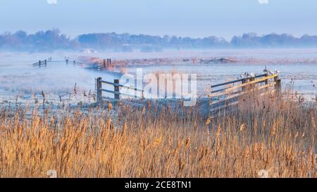 Blick über Felder in den Norfolk Broads an einem kalten und nebligen Morgen. Stockfoto