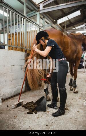 Seitenansicht des weiblichen Reitsports in Uniform stehend im Stall Mit Pferd und Reinigungsboden aus Gülle Stockfoto