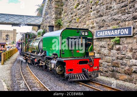 Nr. 143 Garratt Dampflokomotivemoves unterwegs im Bahnhof Caernarfon auf der Welsh Highland Railway Linie nach Porthmadog in Wales UK Stockfoto