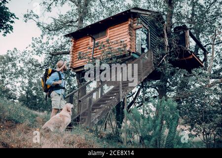 Flache Seitenansicht des nicht erkennbaren männlichen Reisenden mit Rucksack Wandern im Wald mit freundlichem Hund in einer Hütte Haus auf Baum Stockfoto