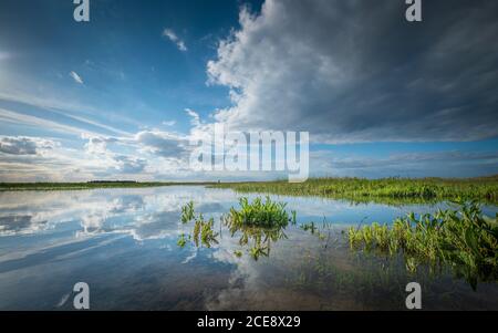 Die Norfolk Küstensalzlandschaft wird bei Flut überflutet. Stockfoto