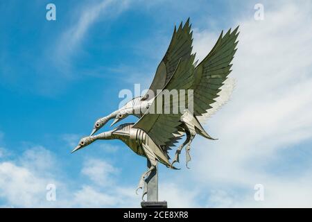 Mallard Skulptur in Ross on Wye. Stockfoto