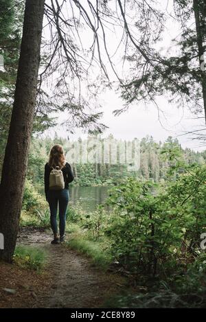 Rückansicht einer nicht erkennbaren Wanderin mit Rucksack beim Gehen Schmaler Weg zwischen grünen Büschen und Bäumen in Algonquin Provincial Park in Kanada Stockfoto