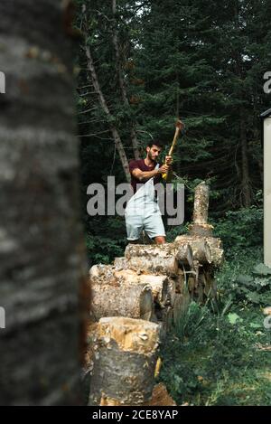 Erwachsener männlicher Reisender, der Holz schneidet, das gegen üppiges dunkles Holz steht In New Brunswick Stockfoto