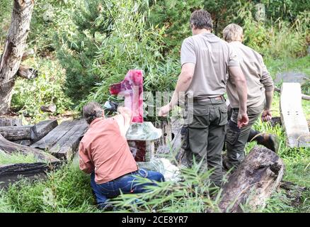 Berlin, Deutschland. August 2020. Mitarbeiter bereiten im Berliner Zoo in Berlin, der Hauptstadt Deutschlands, am 31. August 2020 den Geburtstagskuchen für die beiden Riesenpanda-Zwillinge Meng Xiang und Meng Yuan vor. Die beiden riesigen Panda-Zwillinge Meng Xiang und Meng Yuan, die ersten Zwillingsgiganten der Welt, die in Deutschland geboren wurden, feierten am Montag im Zoo ihren ersten Geburtstag. (Xinhua/Shan Yuqi) Quelle: Xinhua/Alamy Live News Stockfoto