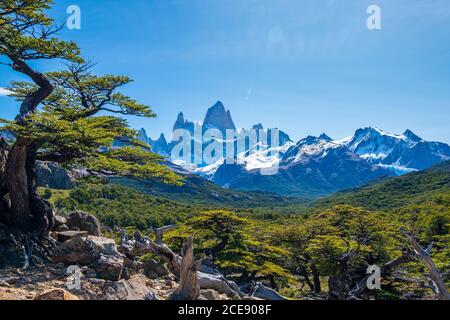 Der Gipfel des Fitz Roy vom ersten Aussichtspunkt der Wanderung. Stockfoto