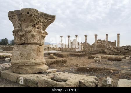 Archäologische Stätte von Paphos, Zypern: Haus der Theseus-Säulen Stockfoto