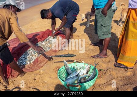 Sri Lanka, Waduwa, Leben Ayurveda Resort. Strand. Fischer. Stockfoto