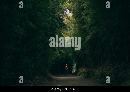 Frau, die im Wald mit hohen Bäumen spazierengeht Stockfoto