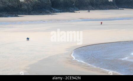 Ein Panoramablick auf die entfernten Figuren der Wanderer auf dem preisgekrönten Crantock Beach bei Ebbe in Newquay in Cornwall. Stockfoto