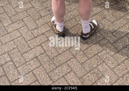 Die Beine eines Mannes, der Socken und Sandalen trägt. Stockfoto