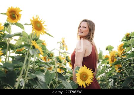 Attraktive junge Frau, die im Frühjahr im Sonnenblumenfeld steht Gegen Himmel würzen Stockfoto
