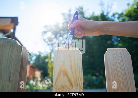 Low-Winkel-Ansicht der weiblichen Hand Malerei neuen Holzzaun mit einem transparenten Schutzlack. Stockfoto