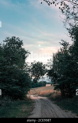 Unbefestigte Straße durch Wald und Felder bei Dämmerung mit Mond und blauem Himmel. Vertikale Ausrichtung Stockfoto