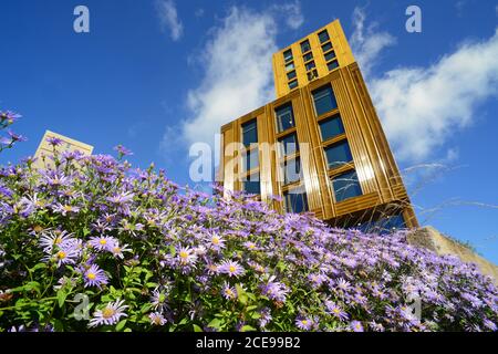 Blumen von vita Student Apartments leeds vereinigtes Königreich Stockfoto