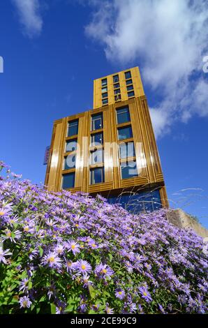 Blumen von vita Student Apartments leeds vereinigtes Königreich Stockfoto