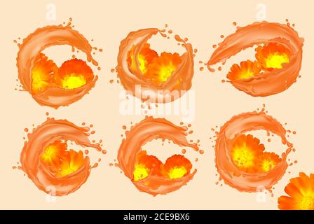 Blumenkalendula mit Wasserspritzer einstellen. Blühende Ringelblume von sechs Gruppen für Beauty-Produkte, Tees, Parfüms, ätherische Öle und Medikamente. Calendula einstellen. Duftende schöne Ringelblume. Vektor. Stock Vektor