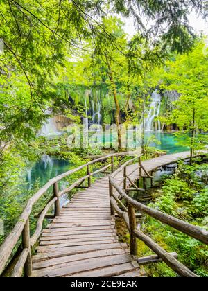 Wie Traumland Märchenland Nationalpark Plitvicer Seen in Kroatien Europa Wasser fließenden Wasserfluss Wasserfall landschaftlich erstaunlich Stockfoto