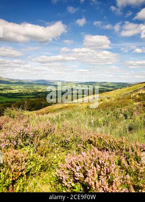 Ribble Valley von Jeffry Hill, Ende August Lancashire. Stockfoto