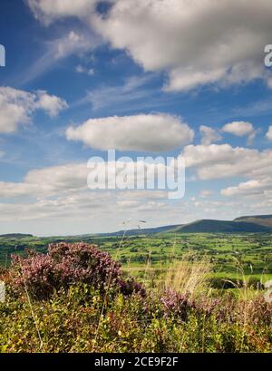 Ribble Valley von Jeffry Hill, Ende August Lancashire. Stockfoto