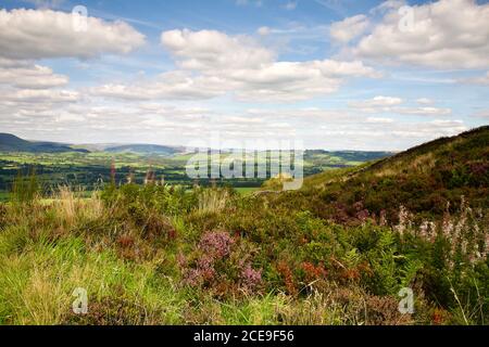 Ribble Valley von Jeffry Hill, Ende August Lancashire. Stockfoto