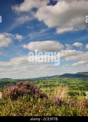 Ribble Valley von Jeffry Hill, Ende August Lancashire. Stockfoto