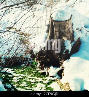 Am Ufer Des Winter River Stockfoto