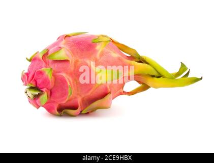 Rosa pitahaya Stockfoto