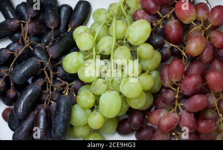 Three bunches of grapes in three colours black red and green Stockfoto