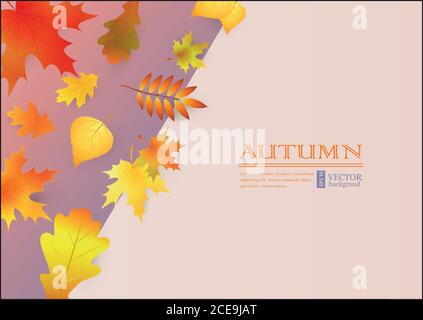 Herbst Hintergrund mit bunten Blättern. Stock Vektor