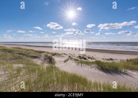 Dünen von Texel Nationalpark / Nationaal Park Duinen van Texel auf der Nord-Holland-Insel Texel in den Niederlanden Stockfoto