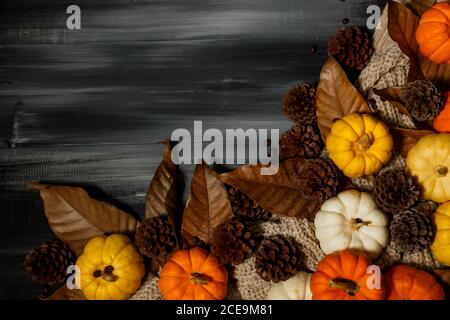 Draufsicht auf Halloween und Thanksgiving Tag, Kürbis, Strickpullover, Pinecone auf dunklem Hintergrund mit Platz für Text. Halloween-Konzept, Th Stockfoto