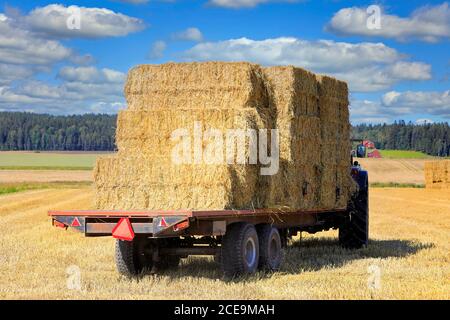 Transport von Strohballen mit Traktor und landwirtschaftlichen Anhänger vom geernteten Feld bis zur Lagerung im Spätsommer. Stockfoto