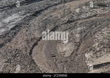 Die ernste Erosion des Regenwassers im Kartoffelfeld, wo das Wasser die untersten Reihen der Kartoffeln weggespült hat. Auswirkungen von Starkregen. Siehe zusätzliche Hinweise. Stockfoto