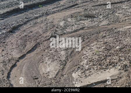 Die ernste Erosion des Regenwassers im Kartoffelfeld, wo das Wasser die untersten Reihen der Kartoffeln weggespült hat. Auswirkungen von Starkregen. Siehe zusätzliche Hinweise. Stockfoto