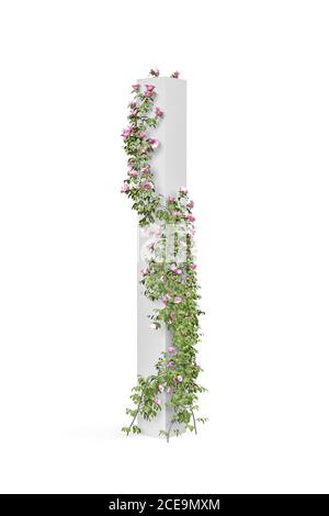 Rosa Rosen mit Ästen um einen vertikalen quadratischen Pfosten gewickelt - schöne Rosen klettern auf der Stange - isoliert auf Weißer Hintergrund - 3d-Rendering Stockfoto