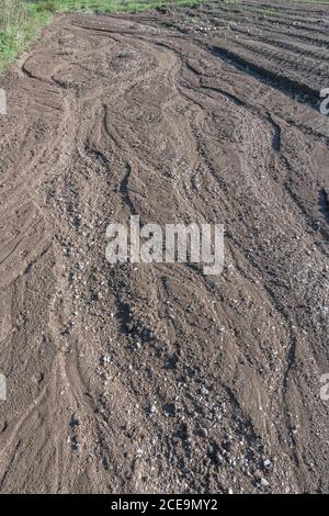 Die ernste Erosion des Regenwassers im Kartoffelfeld, wo das Wasser die untersten Reihen der Kartoffeln weggespült hat. Auswirkungen von Starkregen. Siehe zusätzliche Hinweise. Stockfoto