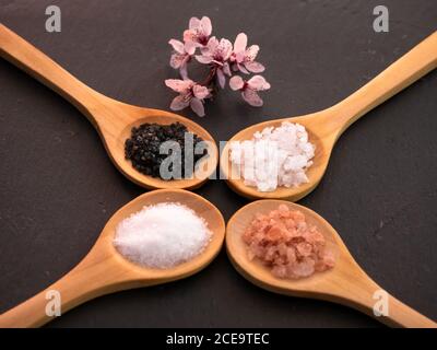 Holzlöffel mit Himalaya Salz, schwarz Hawaii Salz, Salz und Salz Flocken auf einer Schiefertafel Platte Stockfoto
