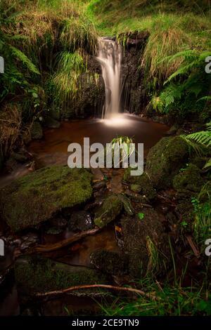 Kleiner Wasserfall und Pool auf einem Bach, der den Hügel Pendle in lancashire hinunter fließt. Glattes Wasser und grüne Vegetation. Stockfoto