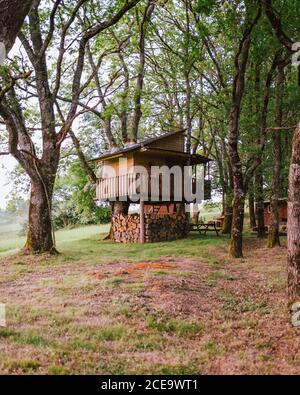 Kleines Holzhaus im Wald platziert. Vertikale Außenaufnahme. Stockfoto