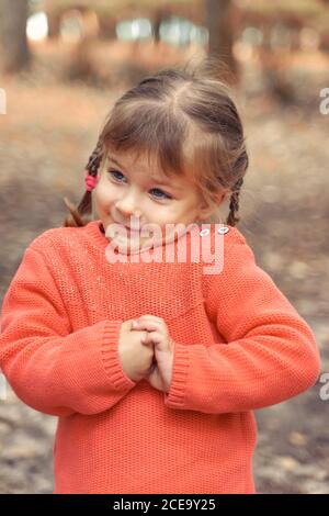 Porträt eines schönen kleinen Mädchen 4 Jahre alt in einem roten Pullover im Herbst. Emotional Kind glücklich Herbst Stockfoto