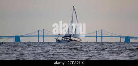 Panoramabild eines Segelbootes, das über die Chesapeake Bay fährt, mit der Silhouette der berühmten Bay Bridge im Hintergrund. Es gibt Leute auf der Boa Stockfoto