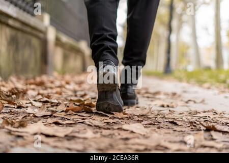 Die Beine des anonymen Menschen, der auf den trockenen Blättern im Park geht Stockfoto